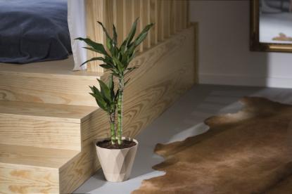 Prekės „Vazonas IPSA Delta 200 Wood A2, smėlio spalvos“ paveikslėlis