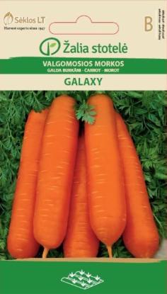 Prekės „Valgomųjų morkų sėklos GALAXY, 3 g“ paveikslėlis