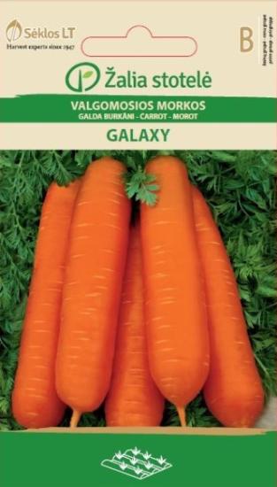 Prekės „Valgomųjų morkų sėklos GALAXY, 3 g“ paveikslėlis