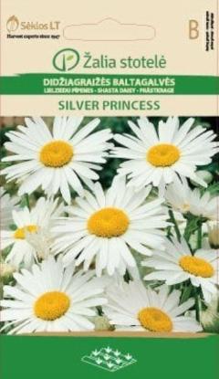 Prekės „Sėklos didžiagraižės baltagalvės SILVER PRINCESS 0,5g“ paveikslėlis