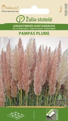 Prekės „Sėklos Argentininės kortaderijos PAMPAS PLUME 0,2g“ paveikslėlis