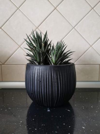 Prekės „Vazonas plastikinis Beton Bowl DKB240-B411, juodos spalvos“ paveikslėlis