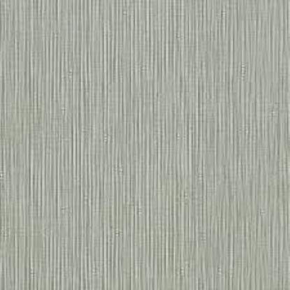 Prekės „Tapetai Z63005 0,53x10m“ paveikslėlis