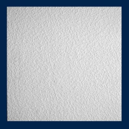 Prekės „Plokštė lubų HOMESTAR Feinputz 50x50cm“ paveikslėlis