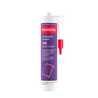 Prekės „Hermetikas Penosil ALL WEATHER SEALANT 919, atsparus vandeniui , bespalvis, 300 ml“ paveikslėlis