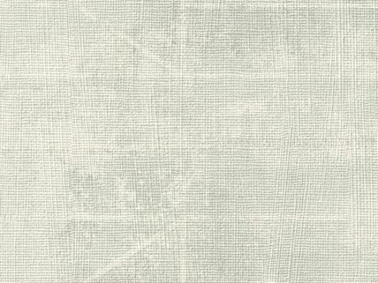 Prekės „Tapetai Rasch 412024 0,53x10m“ paveikslėlis