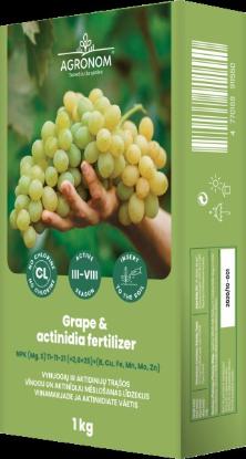 Prekės „Vynuogių ir aktinidijų trąšos,1 kg“ paveikslėlis
