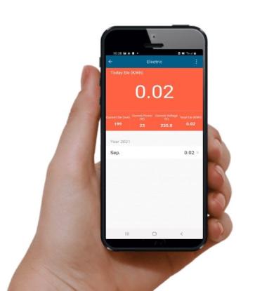 Prekės „Išmanioji Wi-Fi rozetė, Wi-Fi, 3680W 16A, su energijos matavimu, TUYA / Smart Life, WOOX“ paveikslėlis