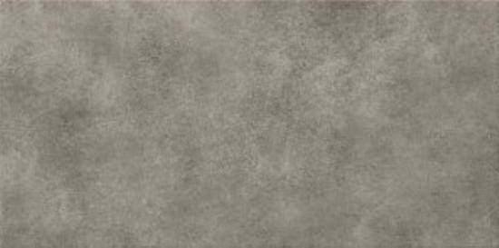 Prekės „Plytelės sienų PS623 GREY MATT 29,8x59,8cm“ paveikslėlis