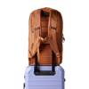 Prekės nuotrauka Kuprinė Cotopaxi Allpa 26L Daypack - Rusva