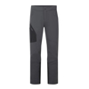 Prekės nuotrauka Vyriškos kelnės Rab Ascendor Pants Regular Leg - Pilka, S