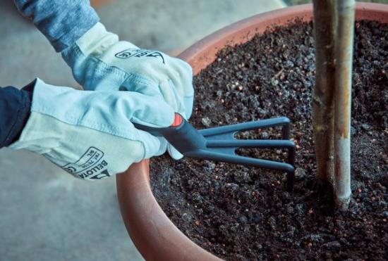 Prekės „Grėbliukas plastikinis 80/283mm Bellota“ paveikslėlis