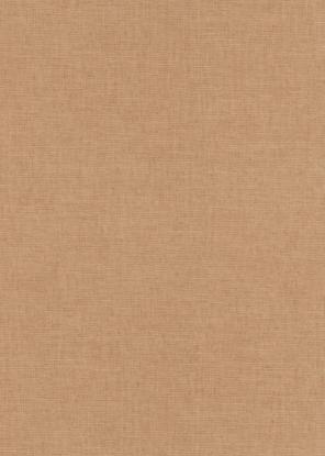 Prekės „Tapetai 12143-11 1,06x10m“ paveikslėlis