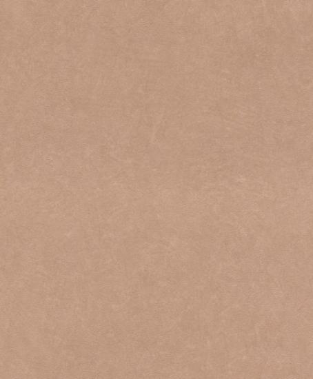 Prekės „Tapetai Rasch 860146 0,53x10m“ paveikslėlis