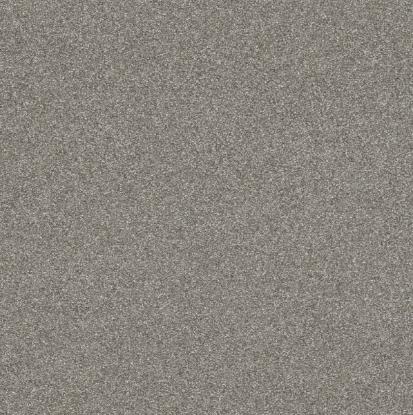 Prekės „Tapetai Rasch 606690, 0,53x10m“ paveikslėlis