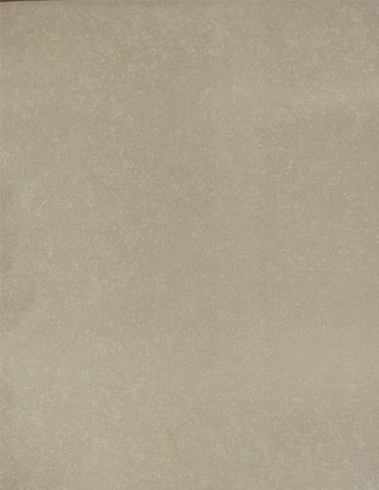 Prekės „Tapetai 4003-7 FOAM 1,06m“ paveikslėlis