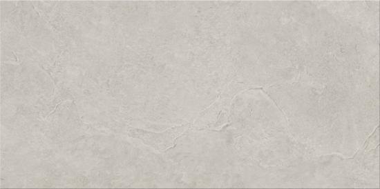 Prekės „Plytelės akmens masės ARDESIA LIGHT GREY MATT 29,8x59,8cm“ paveikslėlis