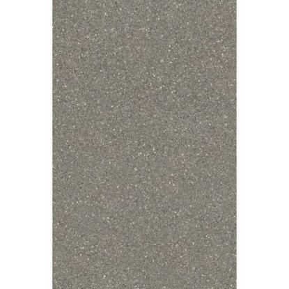 Prekės „Linoleumas TITAN 900D WR5031 4m pločio, pilka spalva“ paveikslėlis