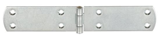Prekės „Vyris apdailos 120x30x2mm cink.Vormann“ paveikslėlis