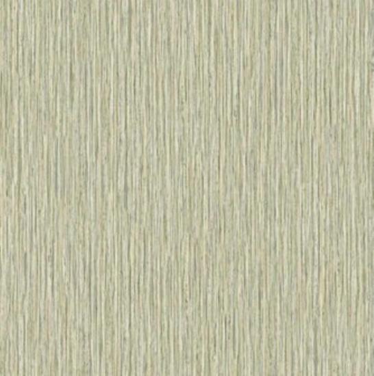 Prekės „Tapetai C88145 0,53x10m“ paveikslėlis