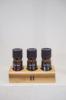 Prekės „Rinkinys aliejų eterinių 3x10ml Rento“ paveikslėlis