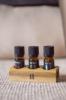 Prekės „Rinkinys aliejų eterinių 3x10ml Rento“ paveikslėlis