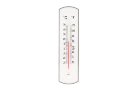 Prekės „Termometras vidaus/lauko 20cm Tarmo“ paveikslėlis