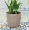 Prekės „Vazonas plastikinis Sahara 27cm  3042“ paveikslėlis