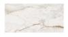 Prekės „Plytelės akmens masės NOBLE TESORO WHITE POLISH RECT 60x120cm“ paveikslėlis