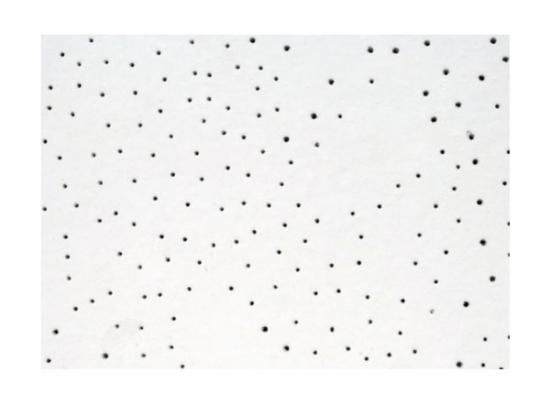 Prekės „Pakabinamų lubų plokštė ECOMIN Filigran 60x60x1,30cm“ paveikslėlis