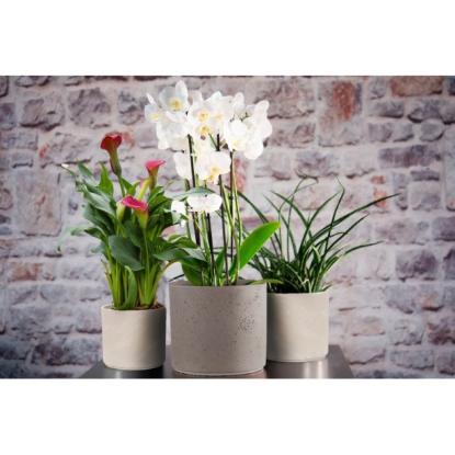 Prekės „Vazonas baltas 14 cm Pillar lava CERMAX“ paveikslėlis