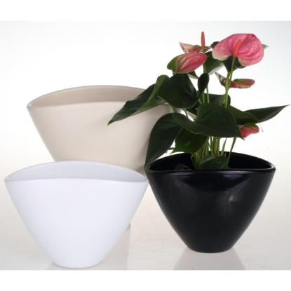 Prekės „Vazonas baltas matinis30 cm Oval 405 CERMAX“ paveikslėlis