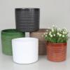 Prekės „Vazonas pistasijų 15 cm 417 Lazur CERMAX“ paveikslėlis