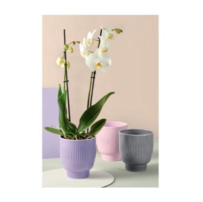 Prekės „Vazonas pilkas 15 cm Lazur 645 CERMAX“ paveikslėlis