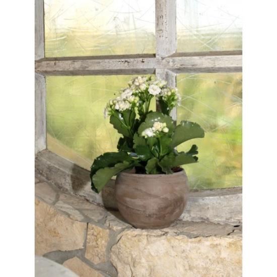 Prekės „Vazonas bazaltas 23 cm Kula CERMAX“ paveikslėlis