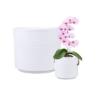 Prekės „Vazonas kreminis 14 cm Calla 991 CERMAX“ paveikslėlis
