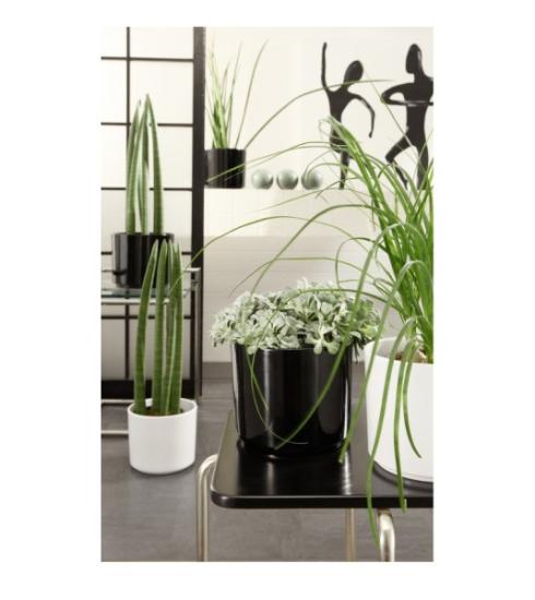 Prekės „Vazonas antracitas 16 cm Cylinder 994 CERMAX“ paveikslėlis