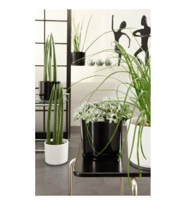Prekės „Vazonas antracitas 16 cm Cylinder 994 CERMAX“ paveikslėlis