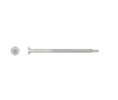 Prekės „Sraigtas WX-48T200 T25 100 mm, smeigėms, metalui“ paveikslėlis