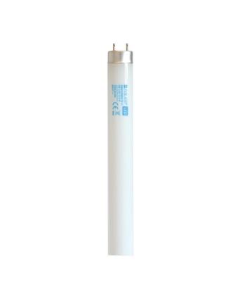 Prekės „Lempa LED T8 60cm 9W/900lm 4000K Polamp“ paveikslėlis