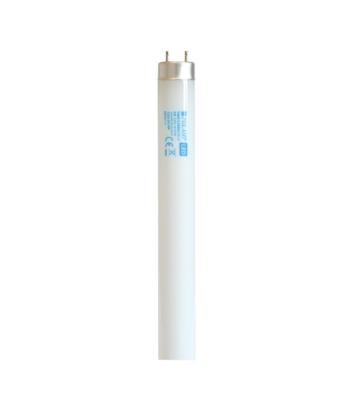 Prekės „Lempa LED T8 120cm 18W/1800lm 4000K Polamp“ paveikslėlis