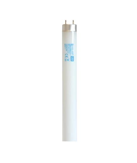 Prekės „Lempa LED T8 120cm 18W/1800lm 4000K Polamp“ paveikslėlis