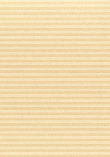 Prekės „Pakavimo popierius, 70 cm x 5 m, Kraft Winteria“ paveikslėlis