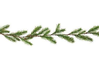Prekės „Girlianda pušų, 180cm Winteria“ paveikslėlis