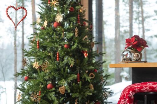 Prekės „Gėlė puansetija, 23 cm Winteria“ paveikslėlis