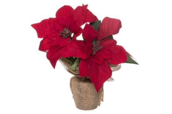 Prekės „Gėlė puansetija, 23 cm Winteria“ paveikslėlis