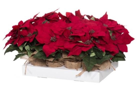 Prekės „Gėlė puansetija, 23 cm Winteria“ paveikslėlis