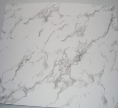 Prekės „P-008 Panelė PVC 600*300mm (6vnt.)“ paveikslėlis