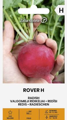 Prekės „Sėklos ridikėlių Rover H“ paveikslėlis