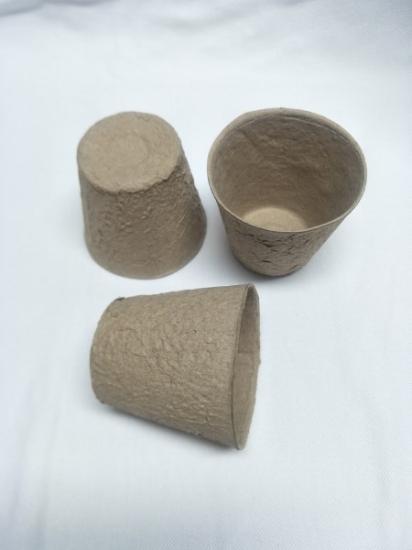 Prekės „Daigykla 8cm 10vnt SH-S“ paveikslėlis